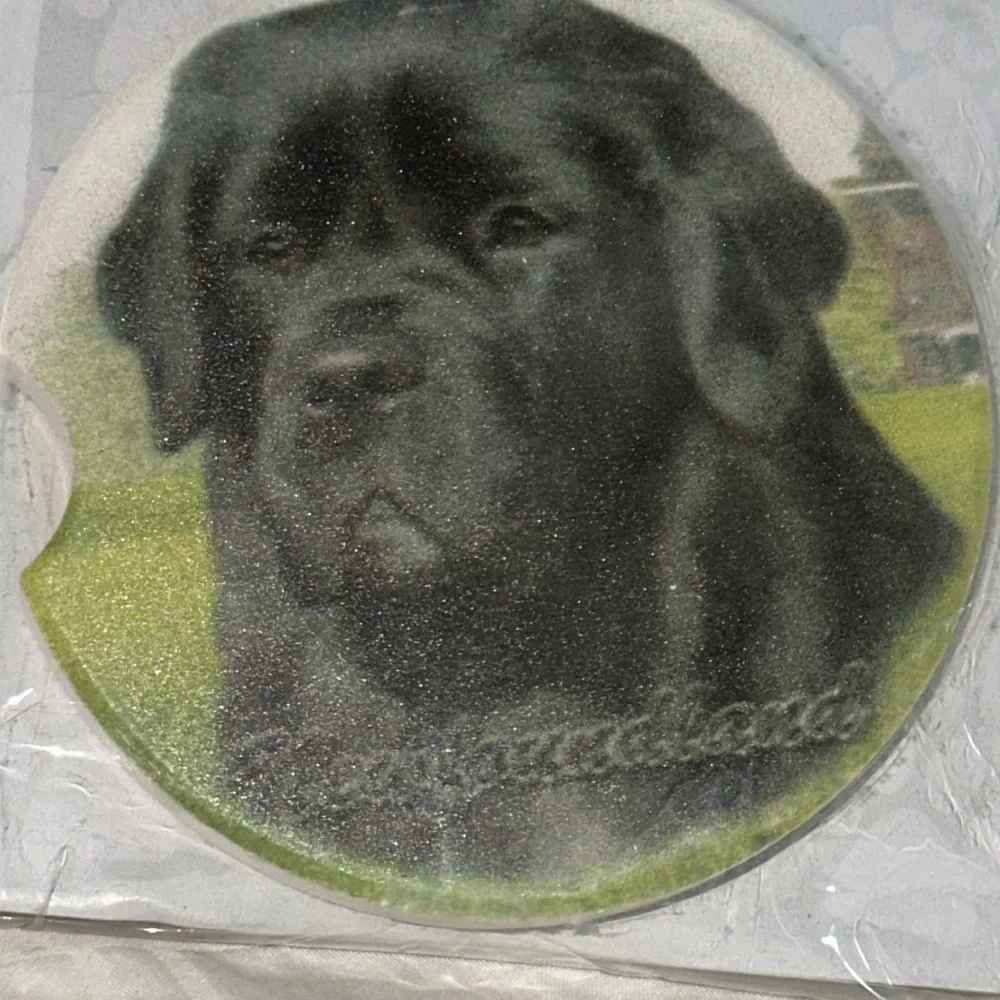 Newfoundland Dog Black Absorbant car coaster‎ NEW E & S Pets Brand